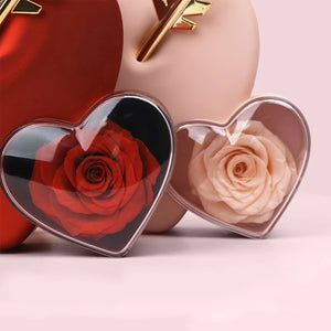 Twin heart  forever rose box & ring