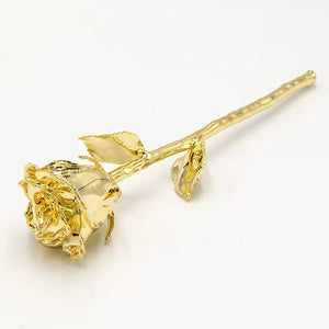 Luxury rose