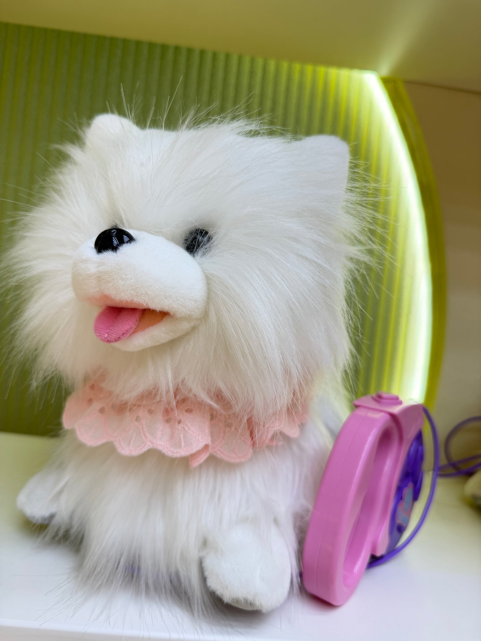 smart dog روكسى سمارت