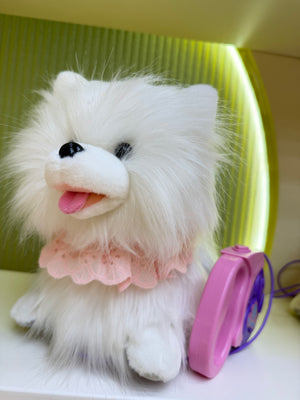smart dog روكسى سمارت