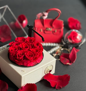 Forever roses Speaker & mini bag & mini forever rose