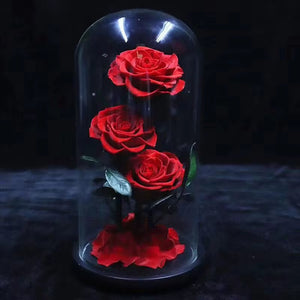 Forever roses