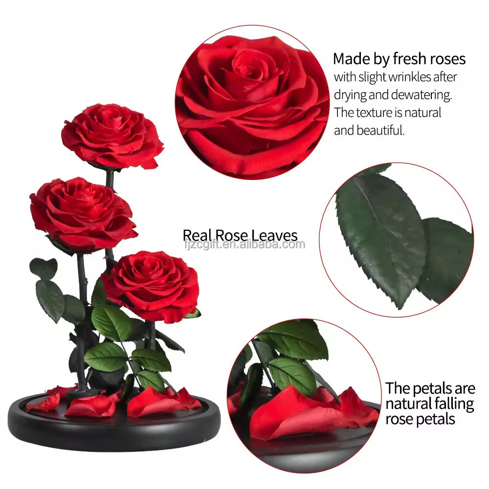 Forever roses