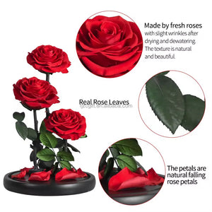 Forever roses