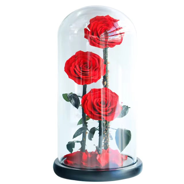 Forever roses
