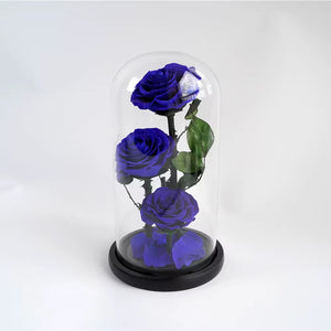 Forever roses