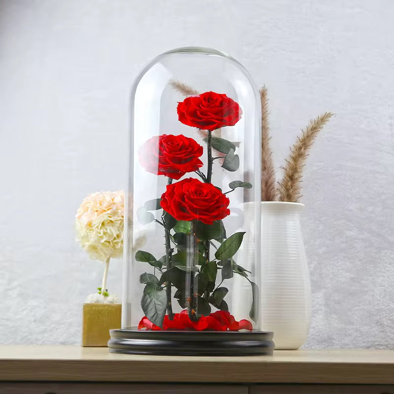 Forever roses