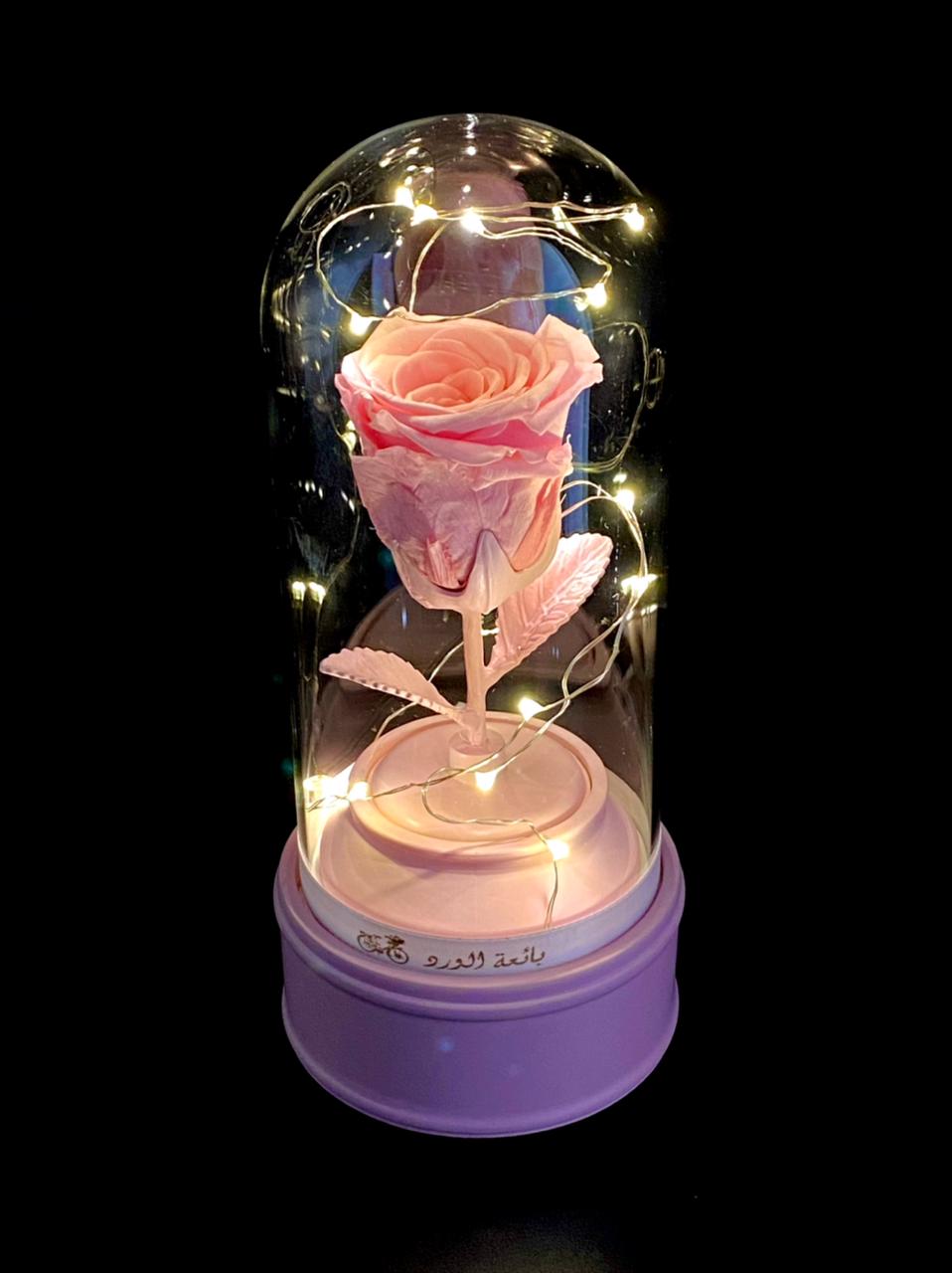 Forever Rose in Glass Box with Music