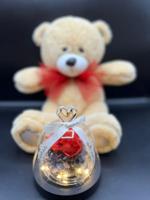 Teddy Bear with Forever Rose